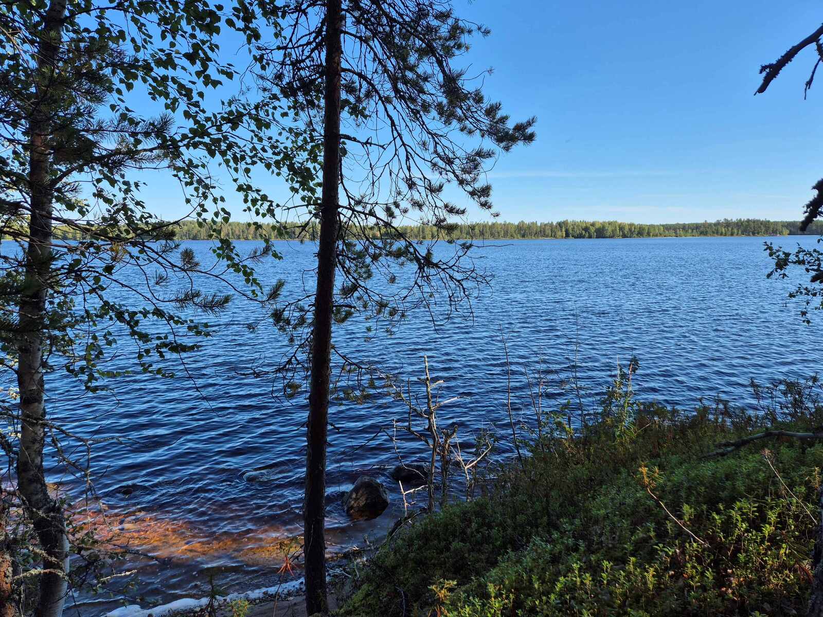 Järven selälle paistaa aurinko. Rannan puusto on varjossa.
