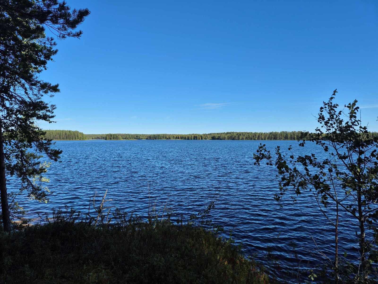 Järven selälle paistaa aurinko. Rannan puusto on varjossa.
