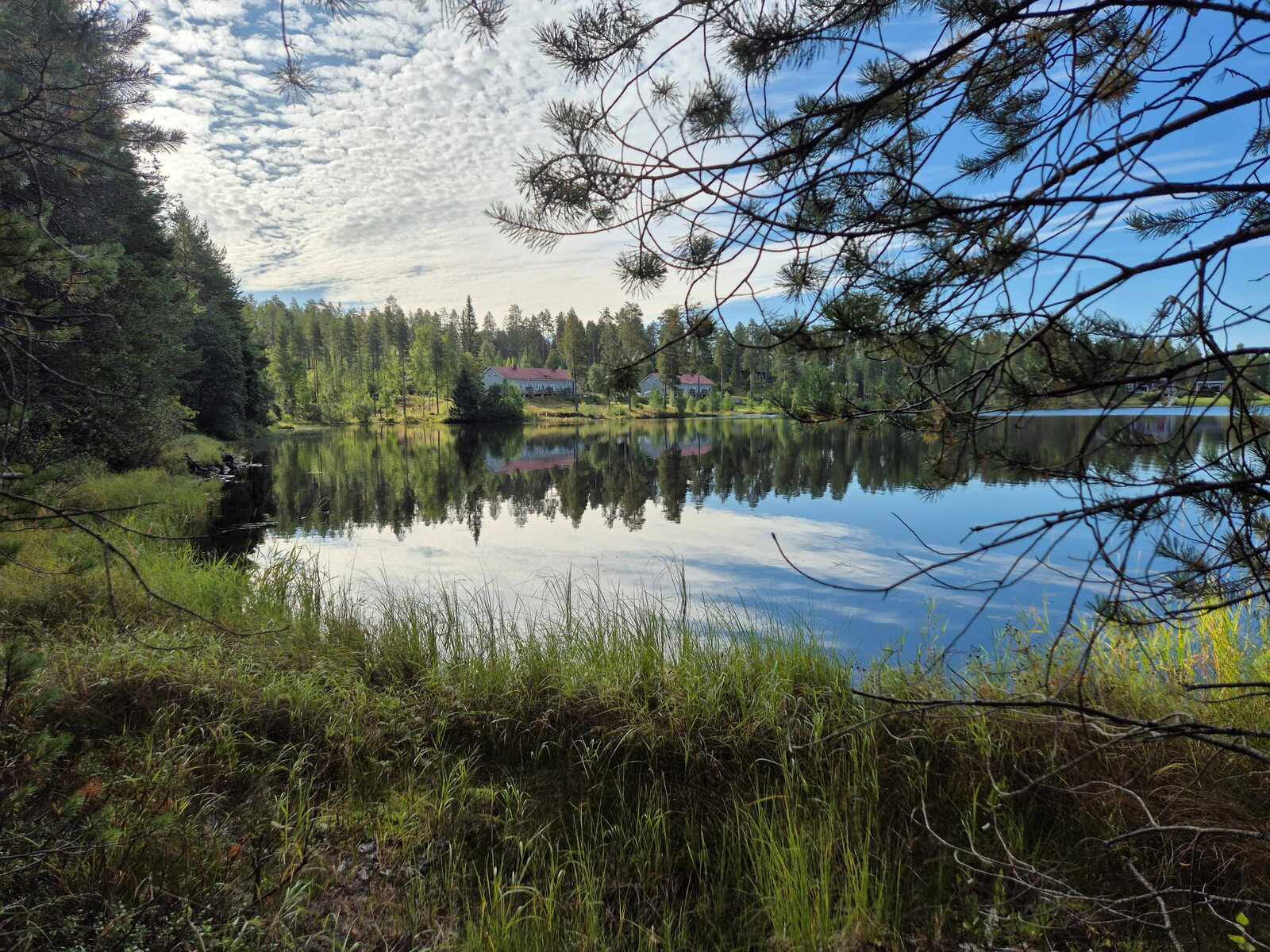Tyyni järvimaisema, toisella rannalla näkyy rakennuksia.