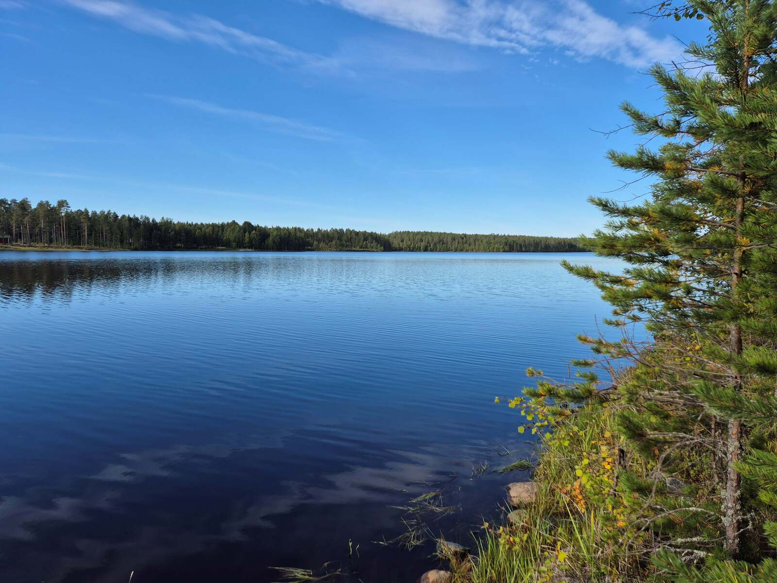 Tyyni järvimaisema, taivalla on pilviä, toisella rannalla on metsää.