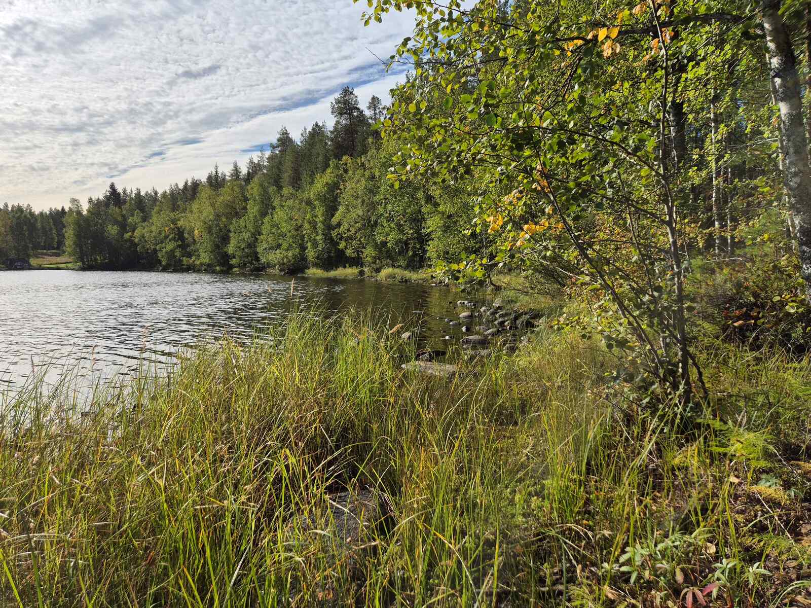 Pieni suojainen lahti, lehtipuita kasvaa etualalla, ranta on kivikkoinen ja ruovikkoinen.