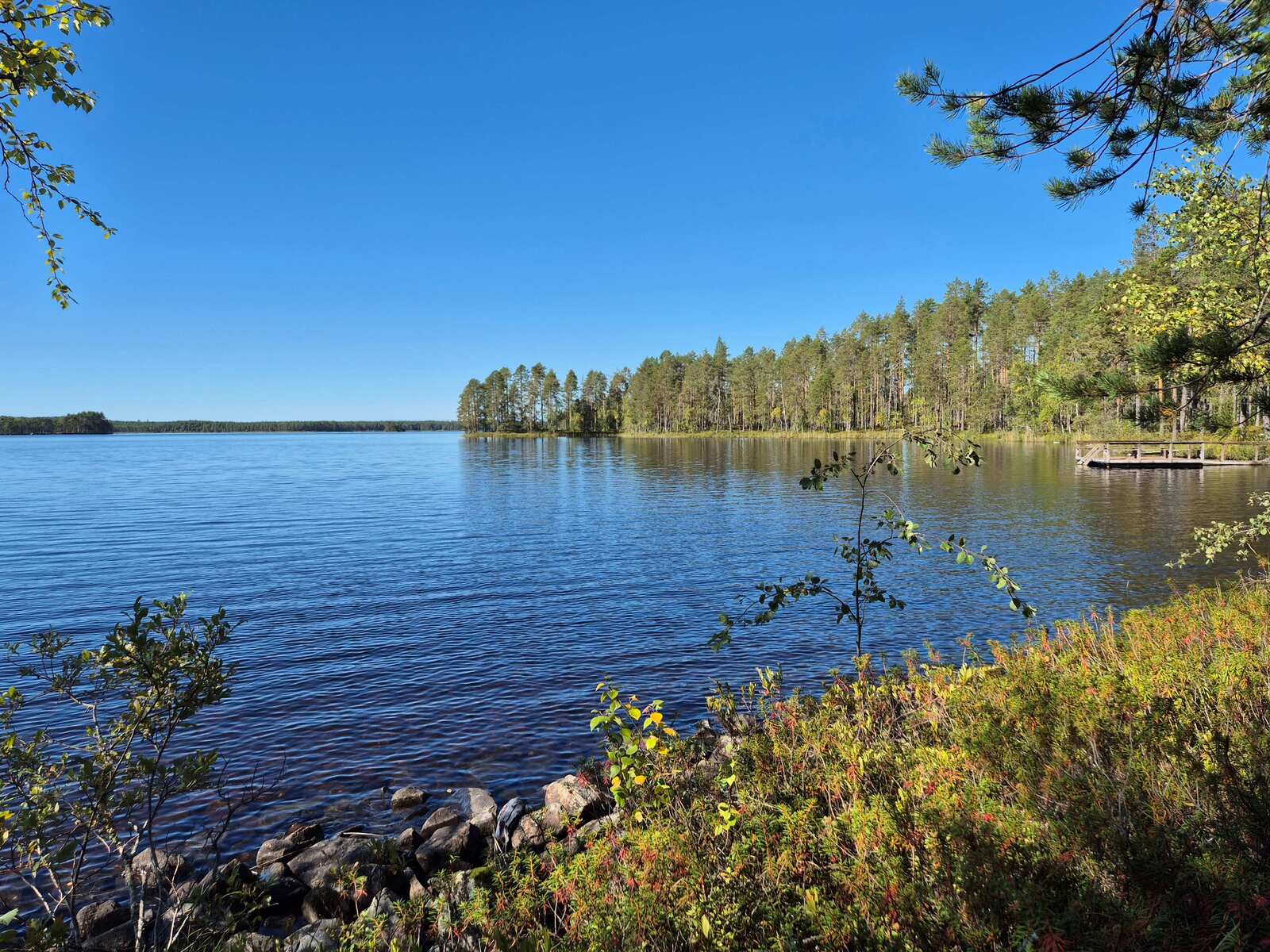 Järven lahti, rannan edustalla on kiviä, naapurin laituri työntyy kuvaan lahdesta.