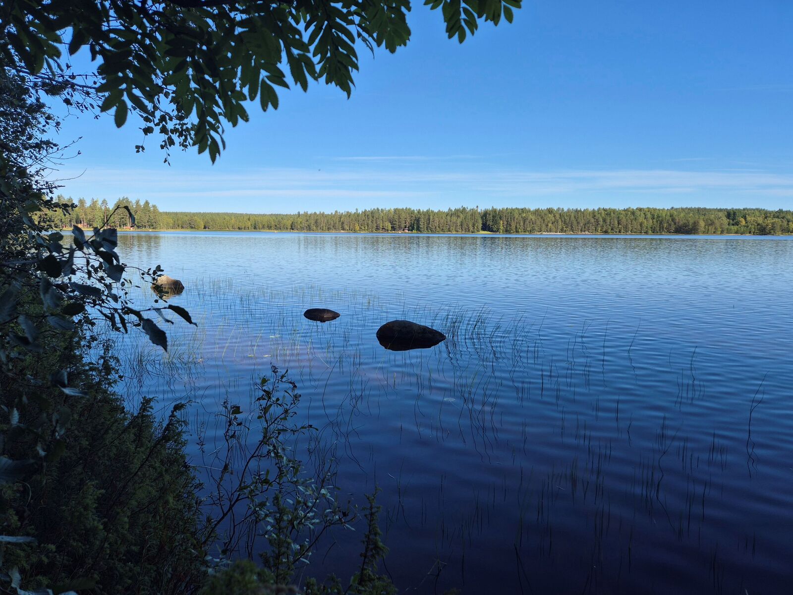 Rantavedestä pilkottaa pari isoa kiveä, vastaranta kylpee auringossa.