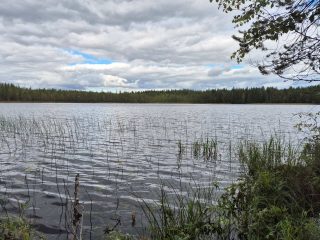 Järvimaisema pilvisenä päivänä, rannan edustalla kasvaa vesikasvillisuutta.