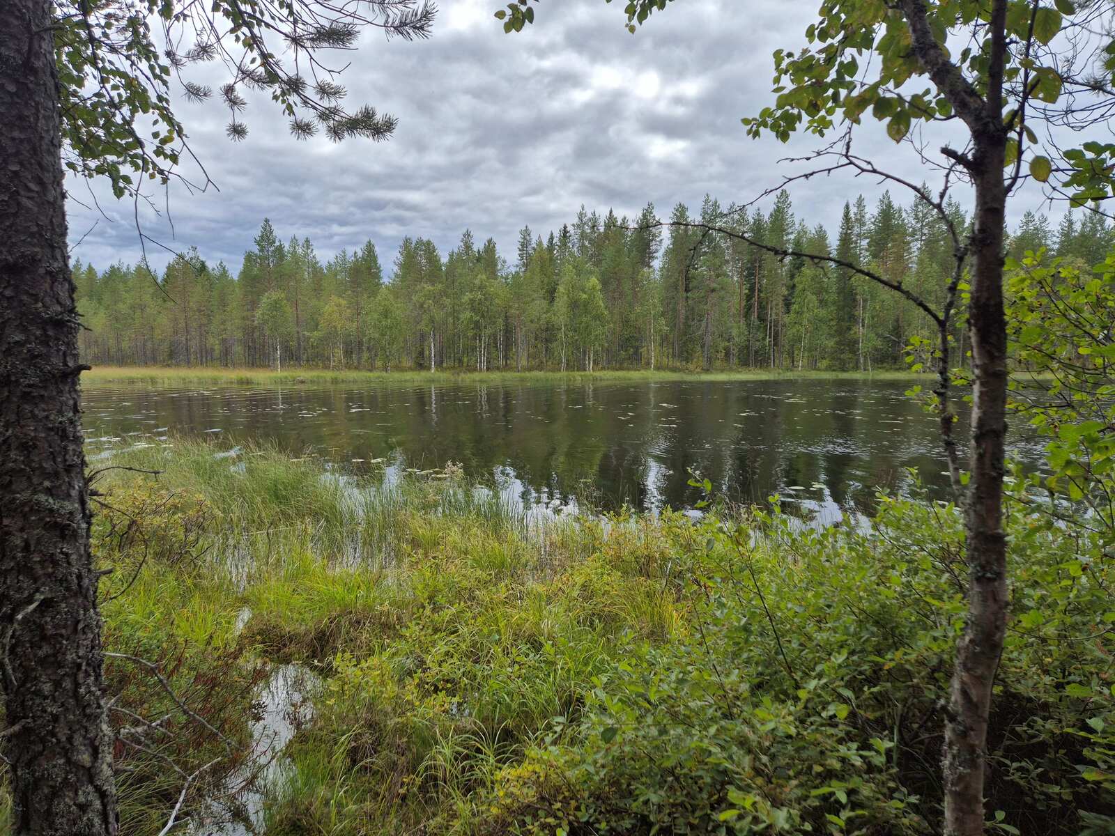 Kapea salmi, vastaranta on lähellä, rannan edustalla on paljon ruovikkoa.