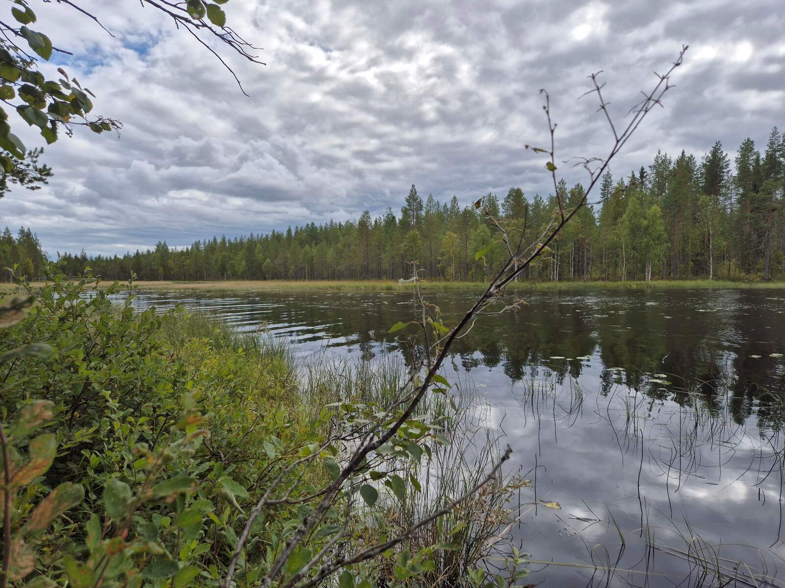 Kapea salmi, vastaranta on lähellä, rannan edustalla on paljon ruovikkoa.
